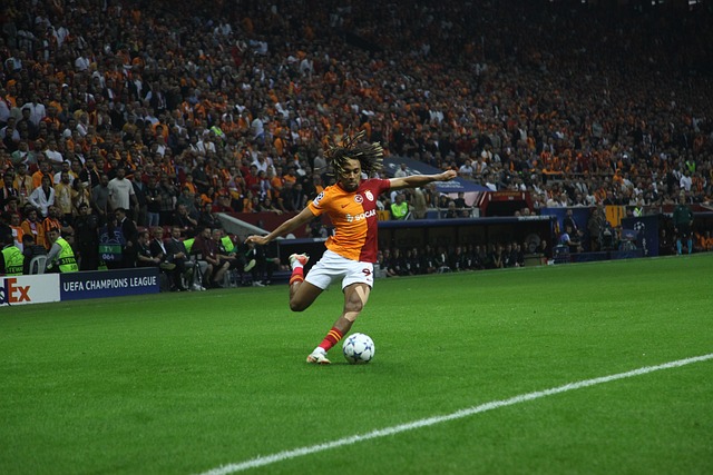 额往往只是 额往往只是