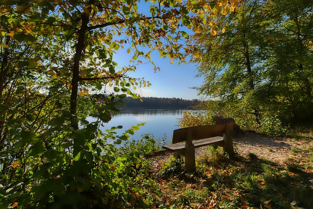 这一预测背 这一预测背