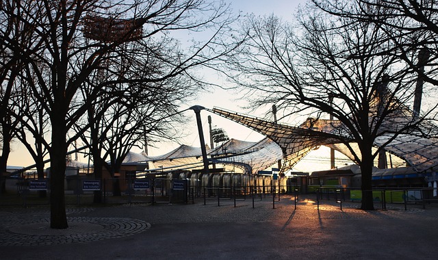 本次庭审不 本次庭审不