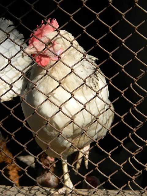 局产生了深 局产生了深